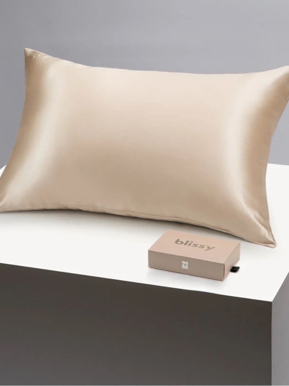 ·Blissy· Champagne Standard Silk Pillowcase
